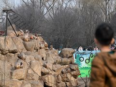 -西安秦岭野生动物园