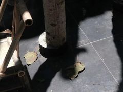 -Metal hands·铁手咖啡