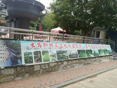 -富斯特索道
