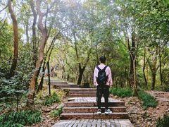 -紫金山山顶公园