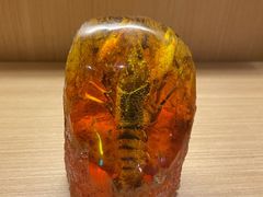 -王红军龙虾(盐仓桥店)