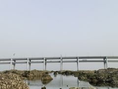 -黑石礁公园