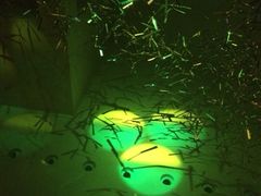 iphone_upload_pic-The Penthouse酒吧