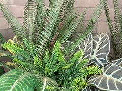 -陈熹公民族美食文化餐厅(中华广场店)