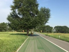 -赛汗塔拉风情园