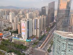 -正佳金殿维福顿公寓(广州正佳广场体育西路地铁站店)