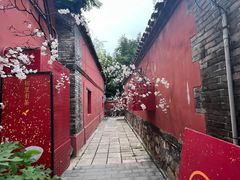 -潭柘寺景区