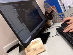 -瑞鹏宠物医院·骨科·猫科·内科(第一中心)