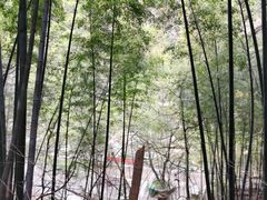 -沣峪森林公园龙潭戏水景区