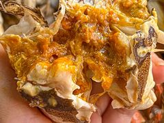 -阳澄湖大闸蟹·琼灵阁牌品牌连锁(吴中总店)