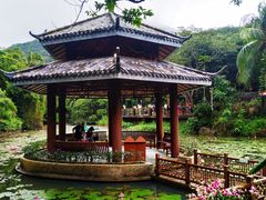 -亚龙湾热带天堂森林公园