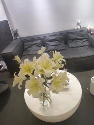 -春田皮肤管理中心品牌旗舰店