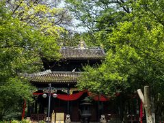 -丰都鬼城名山景区