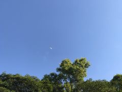 -红花山公园