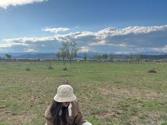 -敕勒川草原