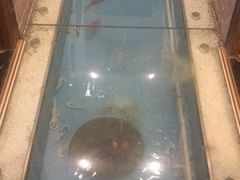 -芝麻花餐厅(祁家豁子店)