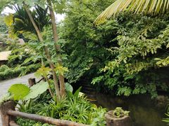 -海南槟榔谷黎苗文化旅游区