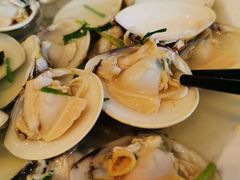 -黄海国家森林公园