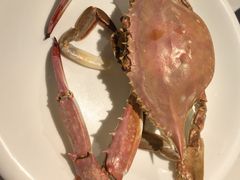 -老大连·海肠捞饭·大连海鲜大连菜(西安路店)
