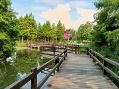 -东台西溪天仙缘景区