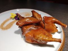 -粤凤佬