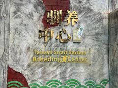 -广东惠东海龟国家级自然保护区