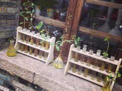 -田园东方蜜桃村的田野营地
