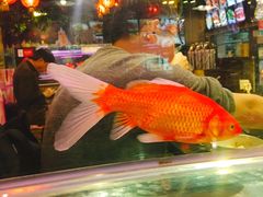 景观位-粗粮人家(簋街店)