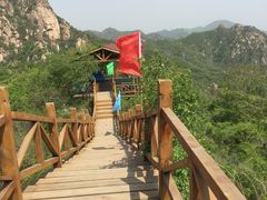 -大岭沟猕猴桃谷风景区