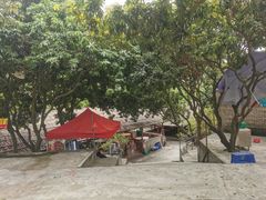 -满記土窑烧鷄波浪山莊