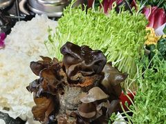 -番食园鲜食火锅(高新店)