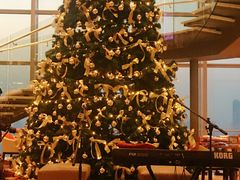 -视界美食自助餐厅·石家庄希尔顿酒店