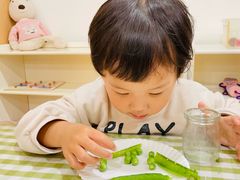 -金点蒙氏国际教育(悠然校区)