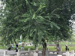 -西海子公园