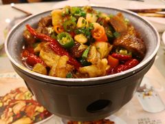 筋头巴脑小牛肉-新疆兵团食府清真(马连道店)
