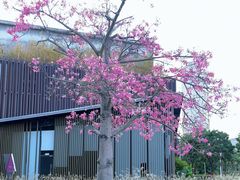 -万科前海企业公馆