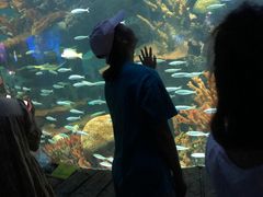 -多彩贵州城极地海洋世界