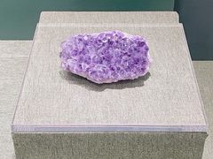-南越王博物院(王宫展区)