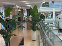 -巴黎春天(浦建店)