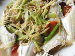 -老三鱼仔店