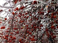 -吉林大学(前卫南校区)