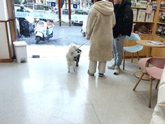 -宠颐生宠物医院·心肾内科·猫专科诊疗中心宠巢店