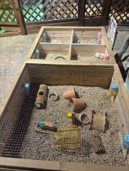 -酷嗒动物文化乐园(cutezoo西溪乐天城店)