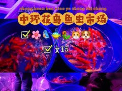 -中环花鸟鱼虫市场