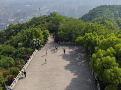 -杭州半山国家森林公园