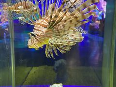 -海合安天津极地海洋公园