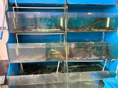 -滇香肴·云南菜蒸汽石锅鱼(云南北路店)
