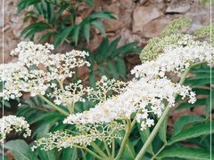 -大理床单厂艺术区