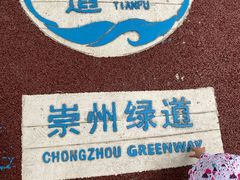 -桤木河湿地公园