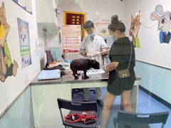 -特一安24小时宠物医院·骨科·中兽医